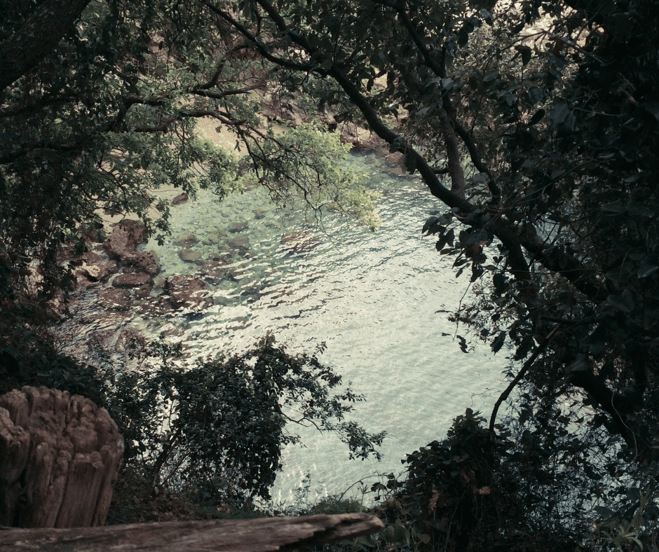 Fiume tra alberi e rocce.